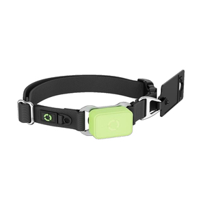 <span class=keywords><strong>Collar</strong></span> de Rastreo GPS para Perros con Función de Monitoreo de Salud de Mascotas, Micrófono y Función de Voz Remota - Product Image 2