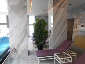 Lastra Jumbo in <span class=keywords><strong>Marmo</strong></span> Bianco Palissandro Spessore 18mm/20mm Calibrata per Rivestimenti Commerciali e Banconi Reception - Product Image 4