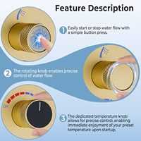 Système de Douche Double à Fixation Plafond 12x24 pouces, Pommeau LED 6 pouces, Pommeau Mural 4 Fonctions, Douchette à Bouton, Robinet Doré Brossé