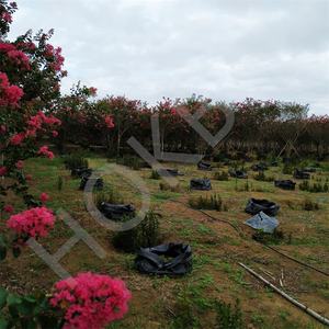 HOKBG anti-uv azienda agricola all'aperto ad alta resistenza 45 50 60 200 gallone grande PP tessuto piante nere da giardino per grape mirto - Product Image 5