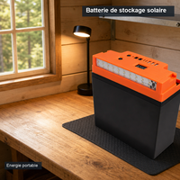 Ventilateur de sol solaire 20 pouces, sans balais, haute puissance, avec hélice métallique, batterie LiFePO4, USB 5V et lampe LED pour