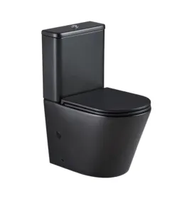 2023 sıhhi tesisat seramik WC Nathroom mat siyah iki parçalı tuvalet rus pazarı için