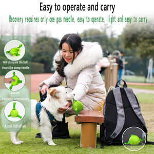 KINYU di alta qualità in gomma naturale cane giocattolo indistruttibile in Nylon intrecciato cinturino interattivo cane palla brevetto lusso classico Pet fornitura - Product Image 5