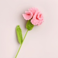 Bouquet de crochets en forme de carnations, fleurs artificielles tricotées, décoration pour la maison, cadeau pour la fête des mères, fait main