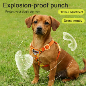 Ensemble Harnais <span class=keywords><strong>et</strong></span> Laisse pour Chien – <span class=keywords><strong>Gilet</strong></span> Tactique Respirant pour Chiens de Petite, Moyenne <span class=keywords><strong>et</strong></span> Grande Taille – Vente en Gros - Product Image 2