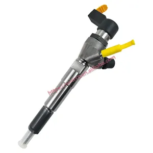 Originele Nieuwe Diesel Injector 166006212R A2C59507596 Voor Renault
