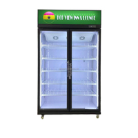 Réfrigérateur Commercial pour Boissons