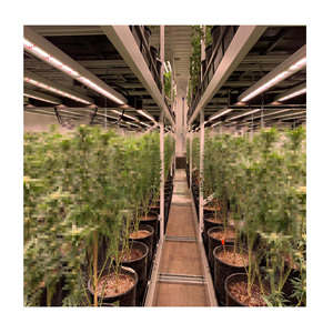Système de culture verticale mobile hydroponique avec éclairage LED pour plantes YT-M-003 - Product Image 3