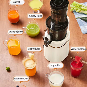เครื่องสกัดน้ำผลไม้แบบหมุนช้า USB 220V แบบพกพาใหม่เครื่องสกัดน้ำผลไม้เครื่องปั่นที่คั้นผลไม้ปราศจากตัวกรอง - Product Image 5