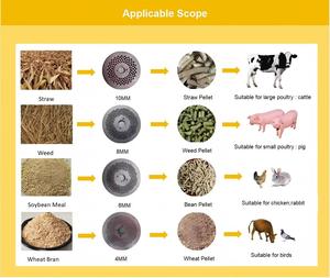 <span class=keywords><strong>Peletizadora</strong></span> Eléctrica de Alimentos para Animales, Molino de Pellets Compacto de Matriz Plana para Producción <span class=keywords><strong>Casera</strong></span> de Alimentos para Pollos, Ovejas y Ganado - Product Image 6