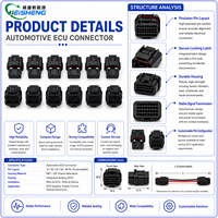 Connecteur ECU automobile 26/34 broches 3 1437290 1473416 Faisceau de câblage mâle/femelle personnalisé