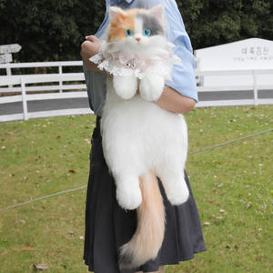 Mochila de Gato Ragdoll de Peluche con Doble Correa, Juguete de Peluche, Regalo de Cumpleaños, Venta al por Mayor, Mochila Infantil de Gato con Tres Rayas - Product Image 4