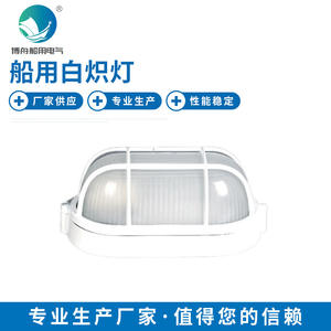 CCD12 60W Waterproof Marine Incandescent Lamp 110V <b>Glass</b> <b>Dome</b> Light for Water Tank Rainproof Outdoor Lighting Fixture Tube - Product Image 1