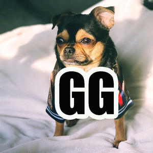 Toptan klasik moda lüks tasarımcı evcil köpek kıyafeti ceket Pet giyim köpek ceket lüks Pet köpek giysileri mont - Product Image 6