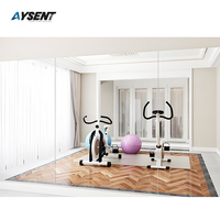 Miroir mural de sécurité pour studio de danse et salle de sport, design moderne Aysent SM-H5, revêtement en aluminium argenté, taille personnalisable, prix d'usine en gros