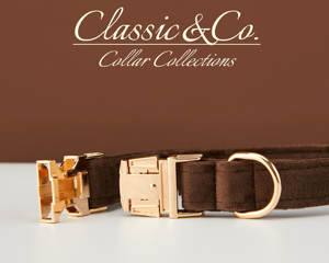 Ensemble collier, nœud papillon et laisse personnalisés Chocolate Veet avec boucle métallique gravée sur mesure, cadeau d'anniversaire pour chiot gratuit - Product Image 5