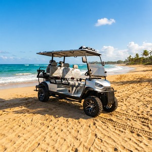 รถกอล์ฟไฟฟ้า Golf Links Turf Patrol Skywork ความเร็วต่ำ แบบ <span class=keywords><strong>2</strong></span> ที่นั่ง พร้อมมอเตอร์ไฟฟ้ากระแสสลับ 48V - Product Image 5