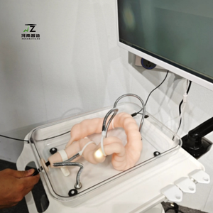 Medizinisches Koloskopie-Trainings modell für den Unterricht Soft Simulation Colonic Organ Model Colon Model - Product Image 2