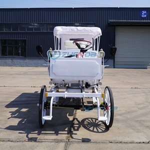 Fashion all-white electric sightseeing carriage, simple station wagon with white ceiling for parks - Product Image 4
