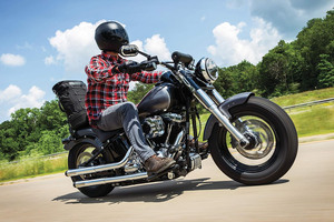 Nhà Máy Biểu Tượng Tùy Chỉnh Sissy Thanh Dây Đeo Vải Thô Đuôi Ghế Túi Ba Lô Freeloader Xe Máy Du Lịch Hành Lý Gói - Product Image 6