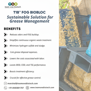 Bloc bio pour graissière de cuisine professionnelle, produit autonome de contrôle de la graisse pour éviers - Product Image 1