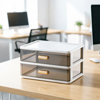 Bureau Mini Tiroirs De Rangement Bijoux Conteneur Boîte Bijoux Cosmétiques Mini Cabinet Organisateur 2 Couches