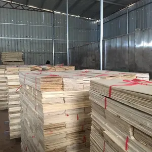 1.7mm rotary cut poplar inexpensive Factory direct sales poplar veneer