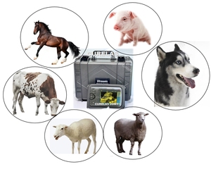 Attrezzatura terapeutica veterinaria macchina ad ultrasuoni digitale completa portatile per animali - Product Image 4