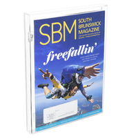Présentoir de boîte de protection en acrylique transparent sur mesure pour étui de rangement de jeu vidéo DVD VHS à collectionner