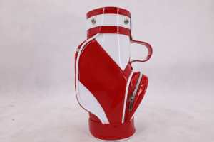 <span class=keywords><strong>Sac</strong></span> <span class=keywords><strong>de</strong></span> golf portable en cuir PU imperméable et durable, noir/blanc, pour accessoires <span class=keywords><strong>de</strong></span> <span class=keywords><strong>mini</strong></span>-golf - Product Image 2