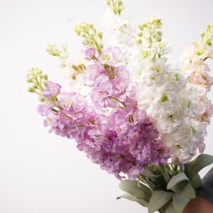Decoración de Boda y Hogar de Alta Calidad: Flor Artificial de Narciso Delphinium Violeta Individual Hidratante con Hilo Plástico - Product Image 1
