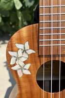 Ukulele de concert Aiersi en koa massif de 24 pouces, personnalisable, fabriqué en Chine, vente chaude