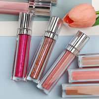 Gloss à lèvres en gros sous marque privée, gloss à lèvres nude végétalien, cosmétiques de luxe, maquillage, gloss à lèvres végétalien brillant, fournisseur de gloss à lèvres nude brillant