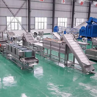 Ligne de production industrielle automatique de chips de pommes de terre : Machine à frire de 200 à 2000 kg/h pour frites surgelées et snacks