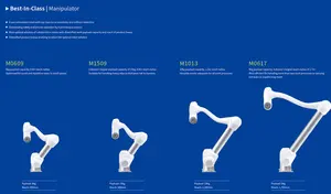 Brazo robot pórtico de máquina de selección y colocación industrial profesional de China