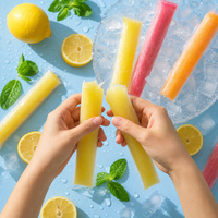 Eco-vriendelijke, voedselveilige, wegwerp PE plastic ijslollyzakjes met ritssluiting, DIY ijslollyvormpjes voor fruit smoothies, sap en yoghurt