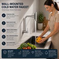 Robinet de cuisine mural en acier inoxydable chromé, monocommande eau froide, bec rotatif 4 modes pour cuisine d'appartement