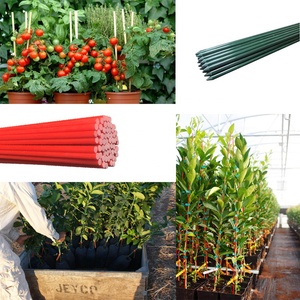 FRP Tomato Grape Climb Support <b>rods</b> /poles Fiberglass reinforced <b>plastic</b> stakes - Product Image 3