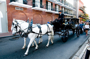 Cercueil funéraire tiré par des chevaux, transport spécial, vente directe d'usine, calèche funéraire tirée par des chevaux - Product Image 6