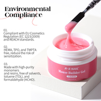 R.S. Nail Gel durcisseur d'ongles standard UE/US, vente en gros usine, 15ml, gel de construction pour extension d'ongles, OEM, sans HEMA, en pot