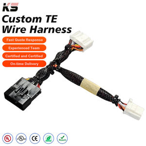 Service de câblage personnalisé pour faisceaux de câbles industriels, assemblage de câbles électroniques pour systèmes de contrôle de machines, solutions de connexion de câblage. - Product Image 1