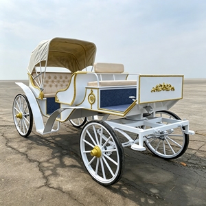 Chariot royal classique pour événements de mariage, attraction touristique, défilé électrique, chariot tiré par des chevaux - Product Image 5