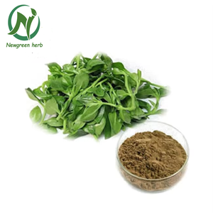 Новый оптовый натуральный китайский органический чистый экстракт анонды (Andrographis Paniculata) - Product Image 2