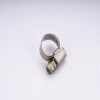 Mini-colliers de serrage en acier inoxydable/acier au carbone, à vis, personnalisés, en zinc naturel