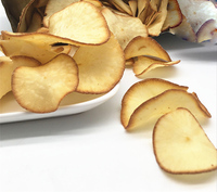 Friteuse industrielle continue TCA, haute efficacité, frites personnalisées, frites, pain de fruits de mer, friteuse continue à bande