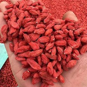 Supplément de tisane chinoise Wolfberry aux normes européennes Baie de Goji rouge biologique au goût sucré fraîchement traité <span class=keywords><strong>Sac</strong></span> en vrac emballé - Product Image 1