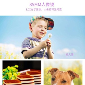 LIGIN Macro Phone Lens 3.0X Optical Glass For Apple Phones Close Up Photography - Product Image 5