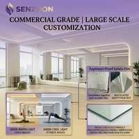 Miroir mural commercial pour fitness, gravure laser du logo disponible (OEM/ODM), cycle de production stable