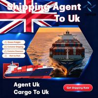 Agente de Transporte Marítimo Reino Unido Londres Aeropuerto de Luton DDP Envío Aéreo Logística Internacional Empresa de Despacho de Aduanas