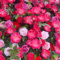 NINI 2026 Meilleure vente Mur de fleurs 5D en tissu enroulable rose vif pour mariage, toile de fond florale